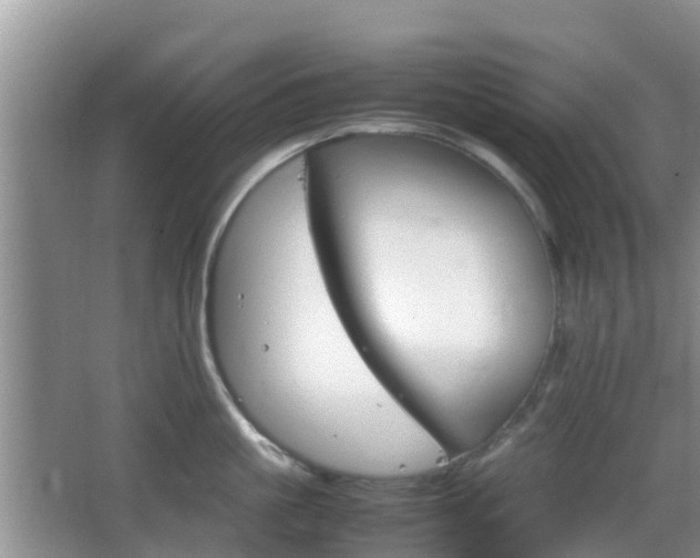 X0000066540861200603241409