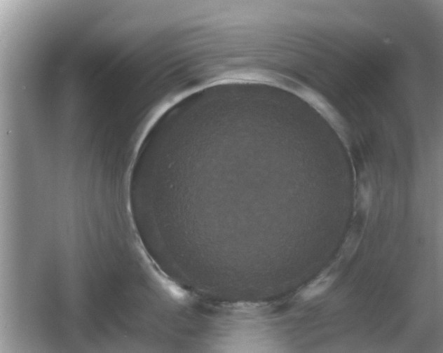 X0000066540862200603241409