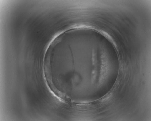 X0000066540863200603241409