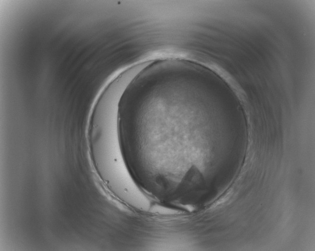 X0000066540864200603241409