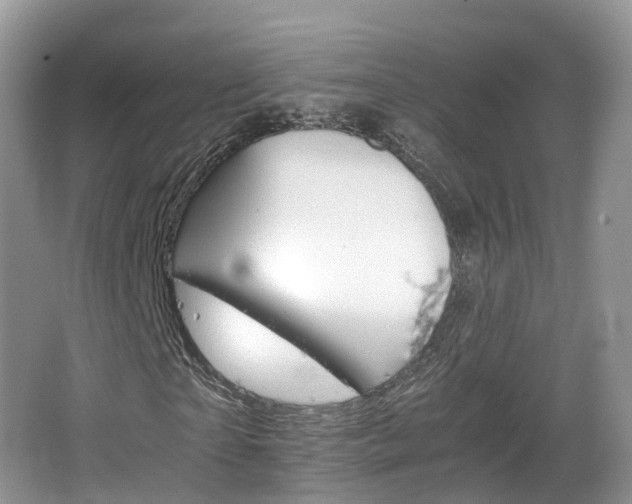 X0000066540865200603241409