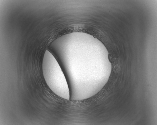 X0000066540866200603241409