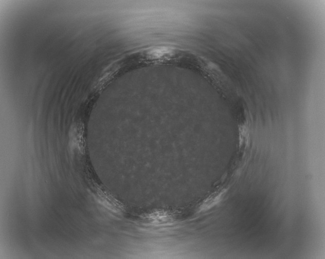 X0000066540867200603241409