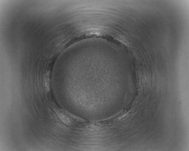 X0000066540868200603241408