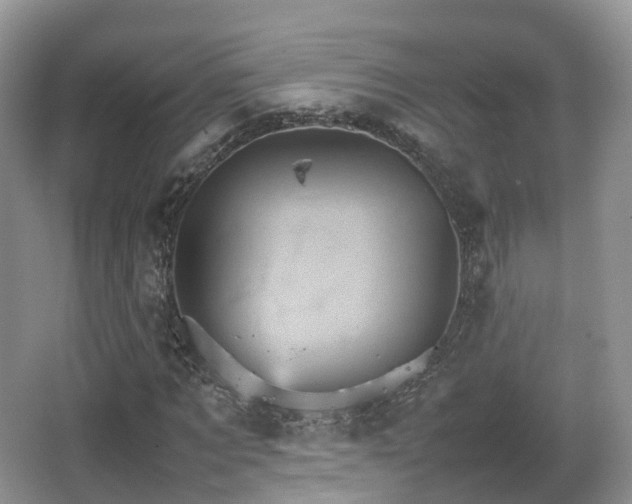 X0000066540869200603241408