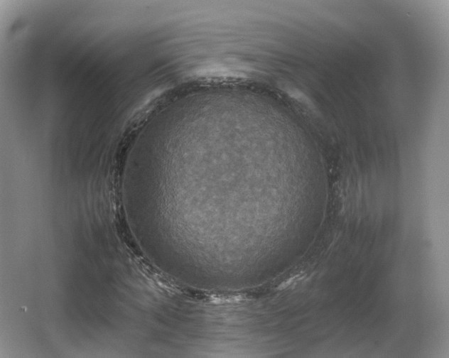 X0000066540870200603241408