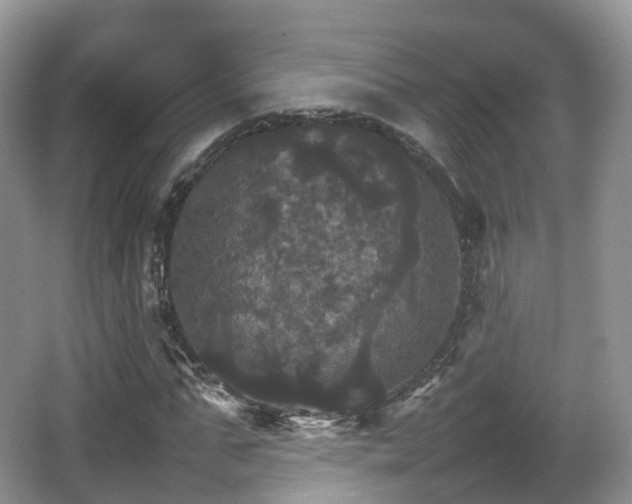 X0000066540871200603241408