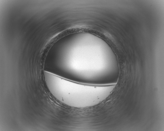 X0000066540872200603241408