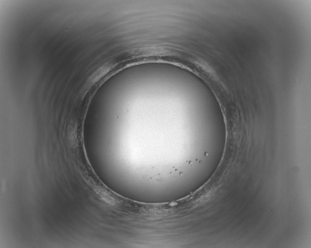 X0000066540873200603241408