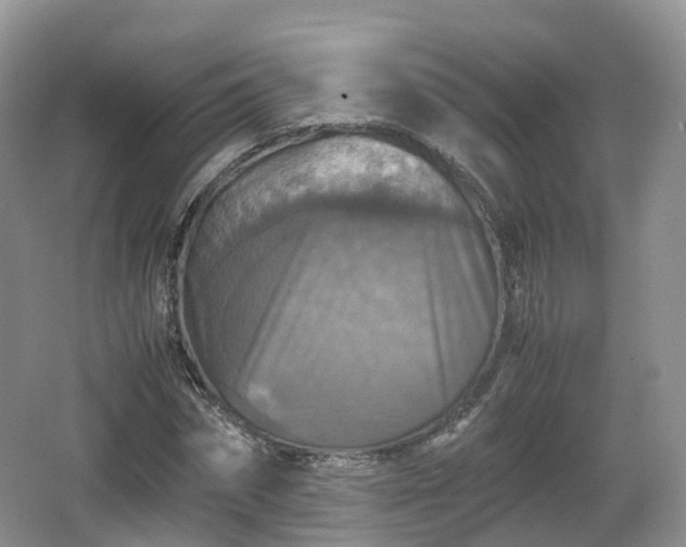 X0000066540874200603241408