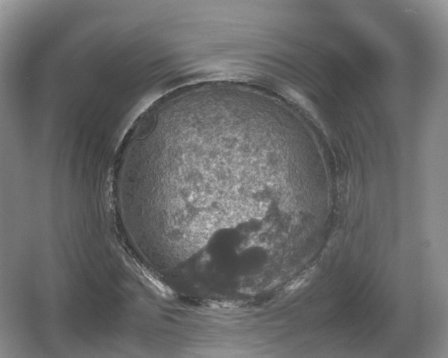 X0000066540875200603241408