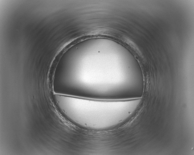 X0000066540876200603241408