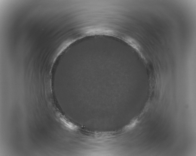 X0000066540877200603241408