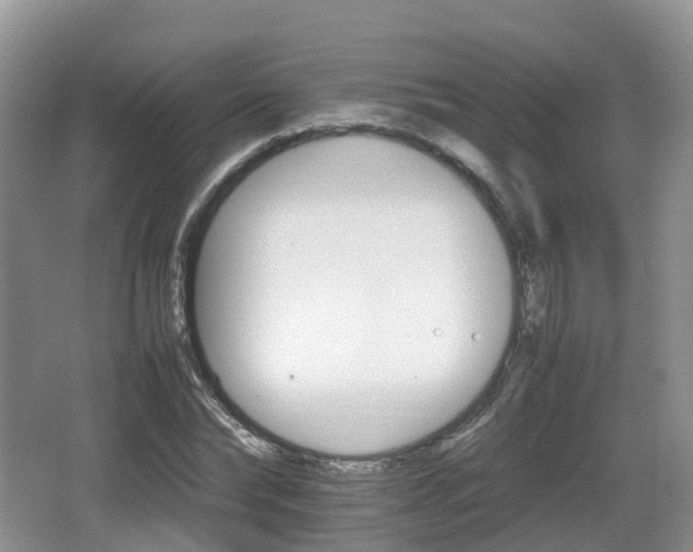 X0000066540878200603241408