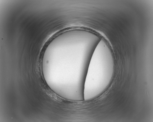 X0000066540879200603241408