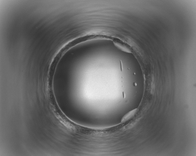 X0000066540880200603241408