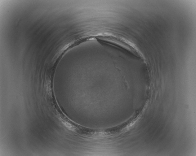 X0000066540881200603241408