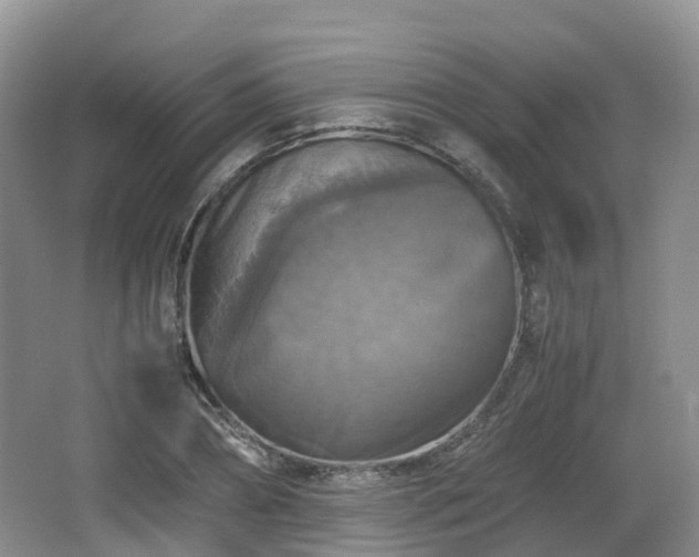 X0000066540882200603241408