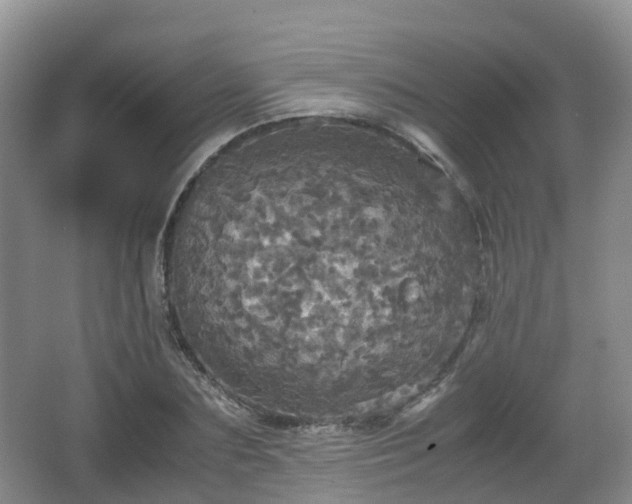 X0000066540883200603241408