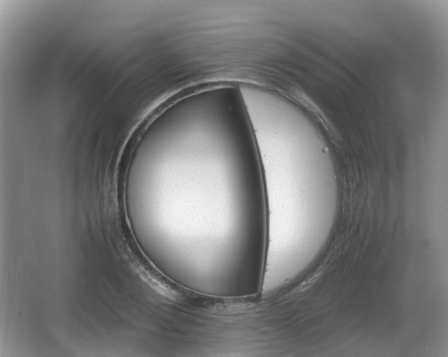 X0000066540884200603241408