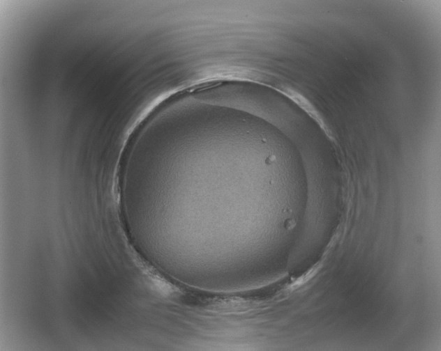 X0000066540885200603241408