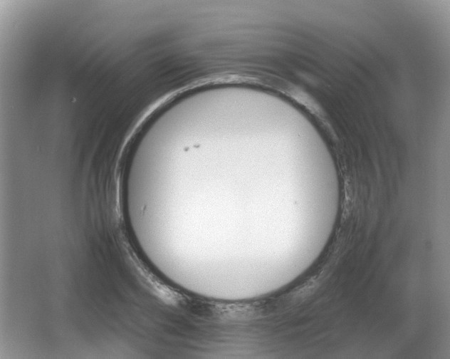 X0000066540886200603241408