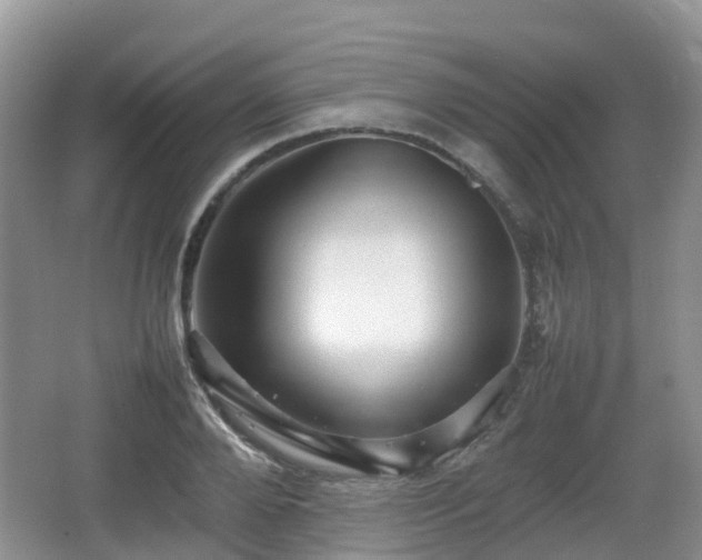 X0000066540888200603241408