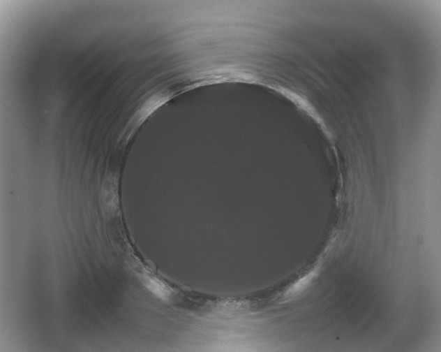 X0000066540889200603241408