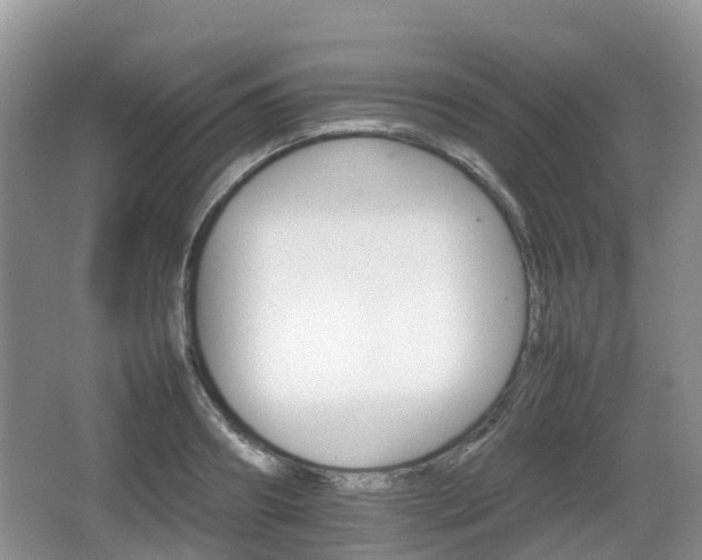 X0000066540890200603241408