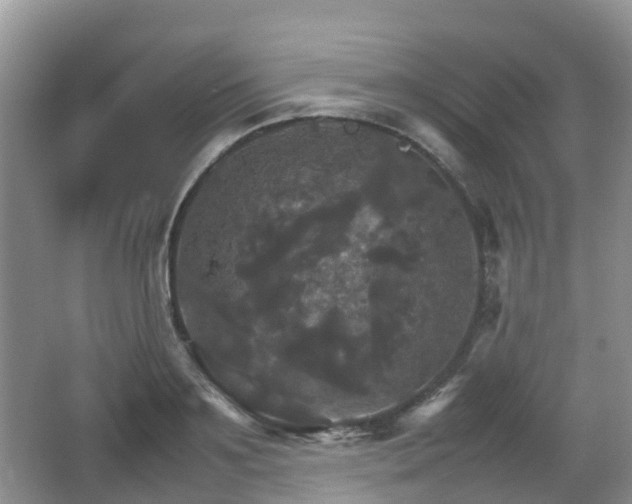 X0000066540891200603241408