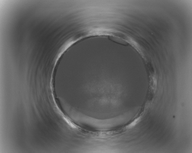 X0000066540893200603241408