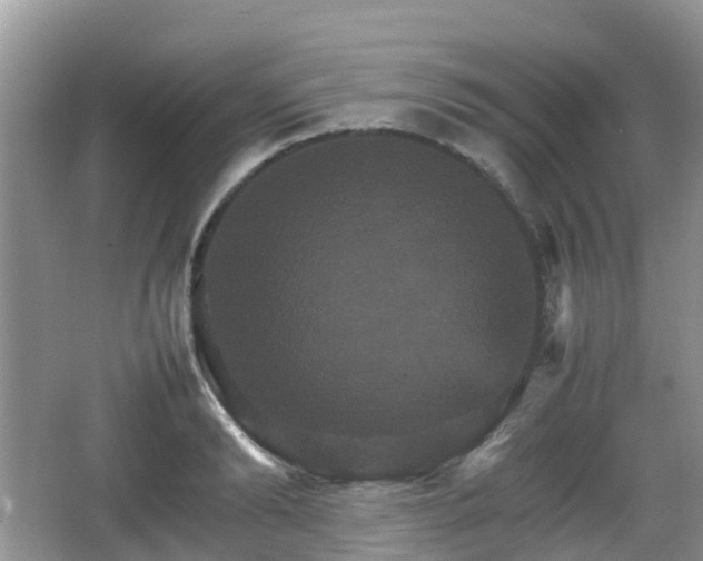 X0000066540894200603241408