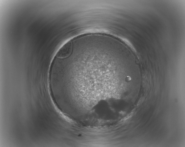 X0000066540895200603241408