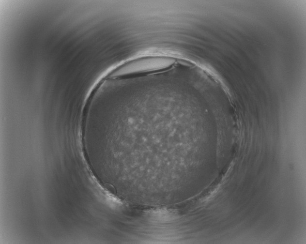 X0000066540896200603241408