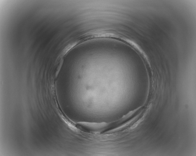 X0000066540897200603241408