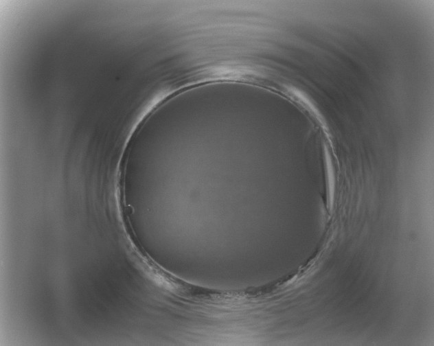 X0000066540899200603241408