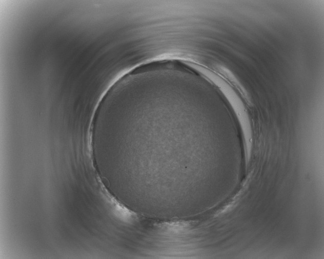 X0000066540900200603241408