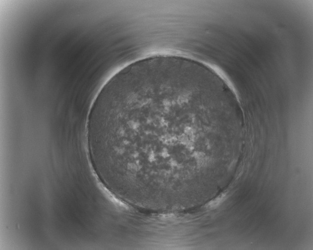 X0000066540903200603241408