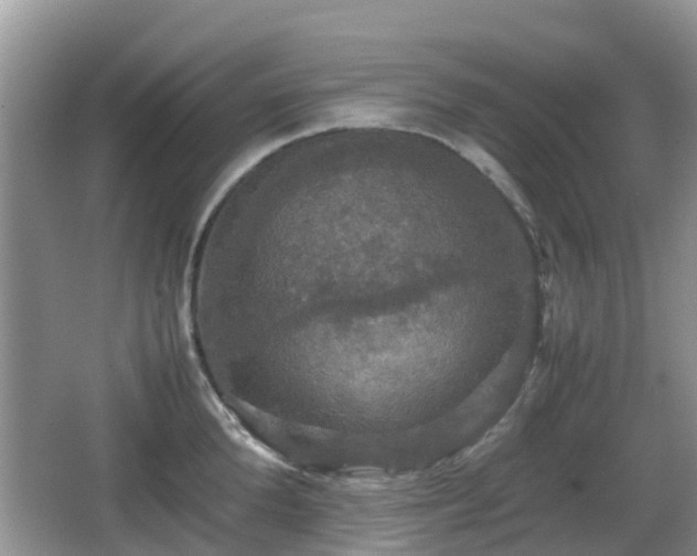 X0000066540904200603241408