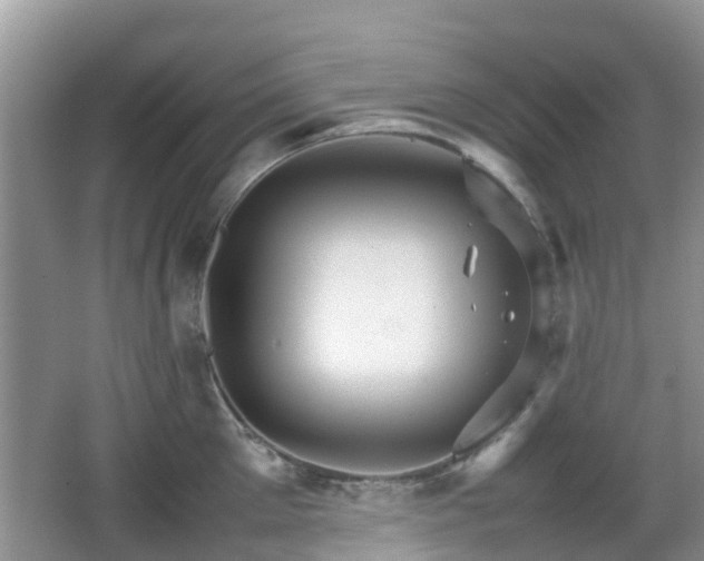 X0000066540905200603241408