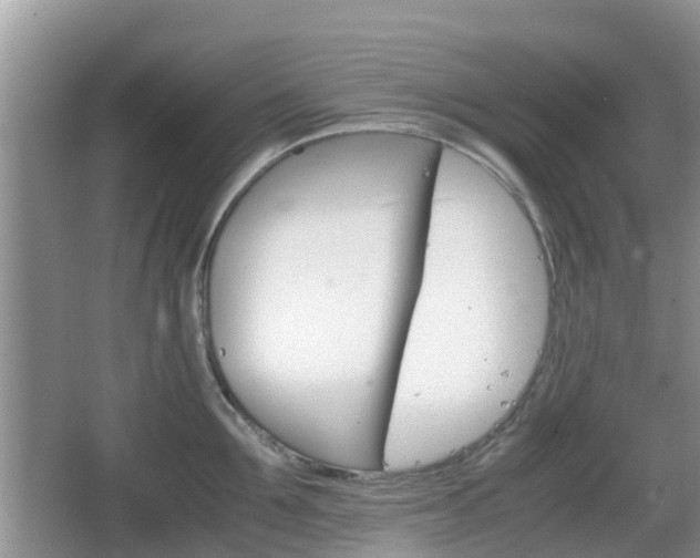 X0000066540907200603241408