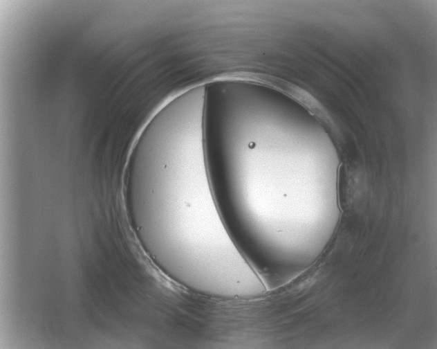 X0000066540908200603241408