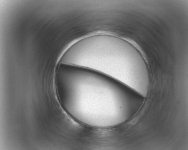 X0000066540910200603241408