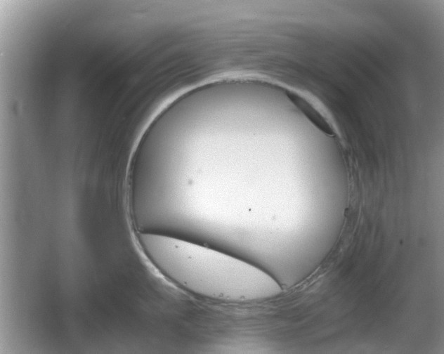 X0000066540911200603241408