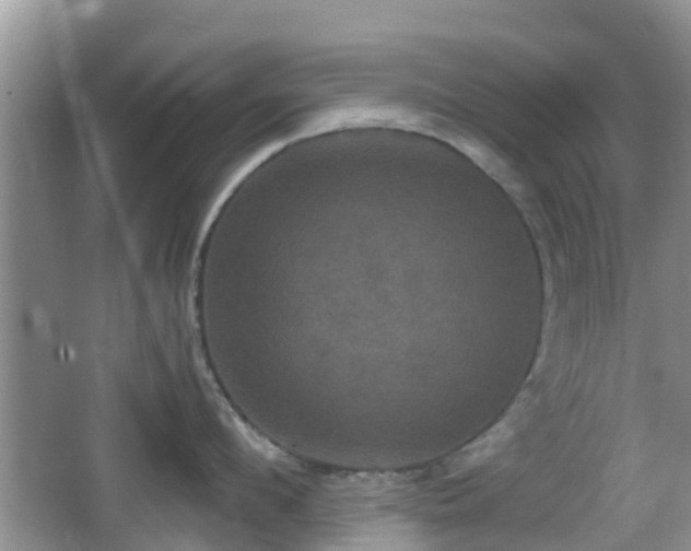 X0000066540912200603241408