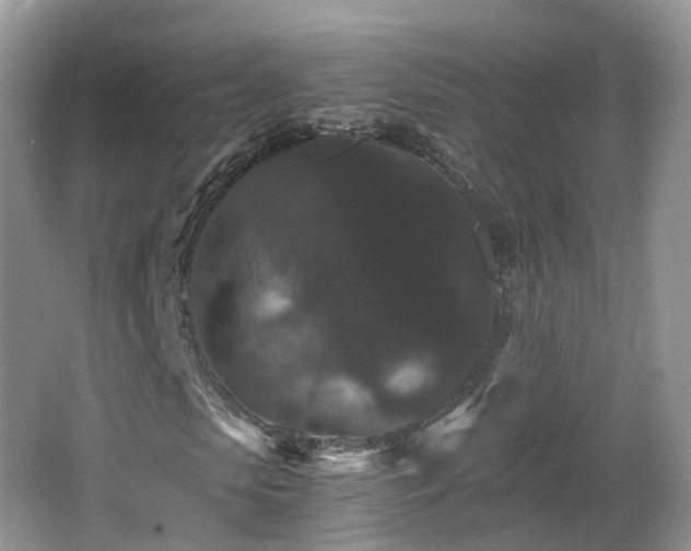 X0000066540913200603241407