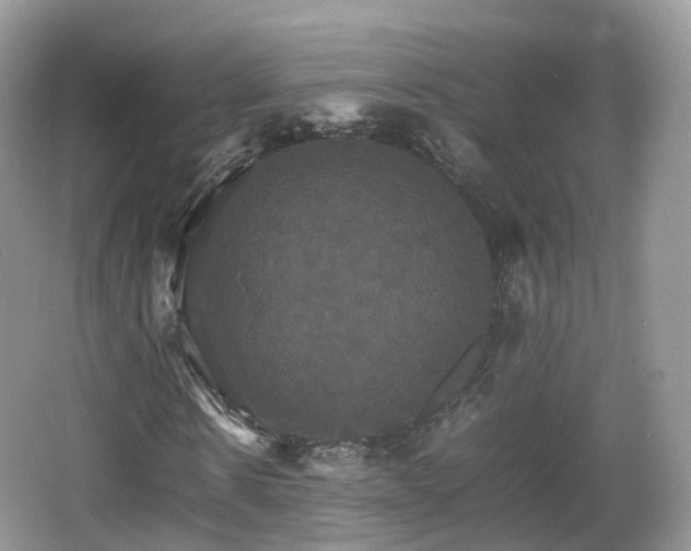 X0000066540914200603241407