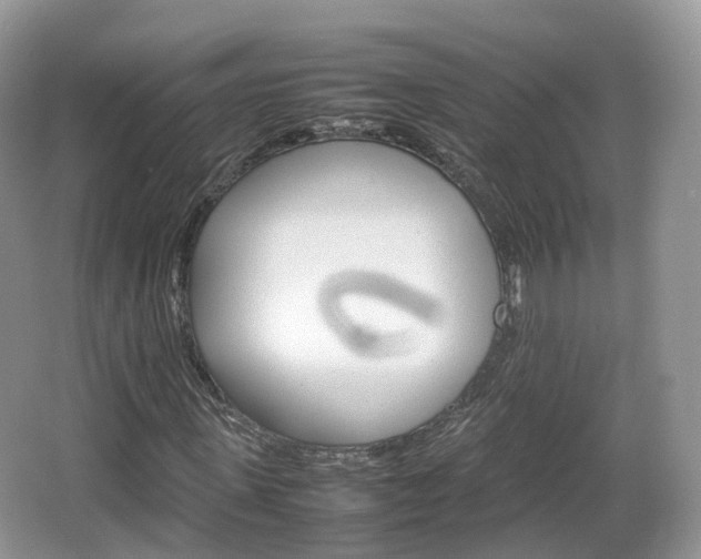 X0000066540915200603241407