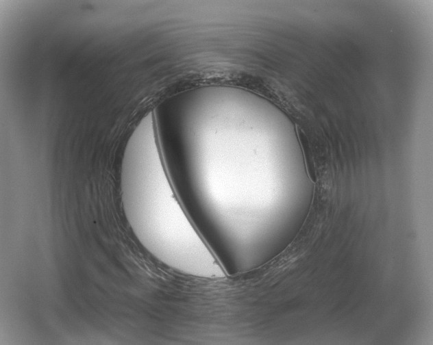 X0000066540916200603241407