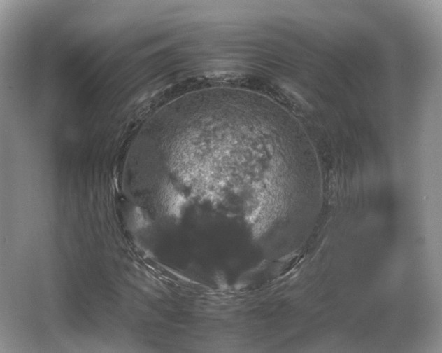 X0000066540917200603241407